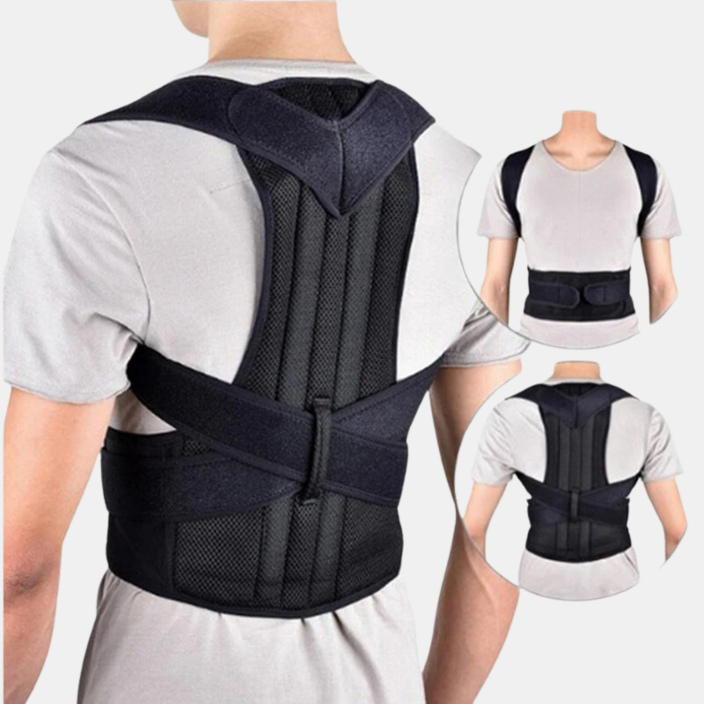 Back support posture belt