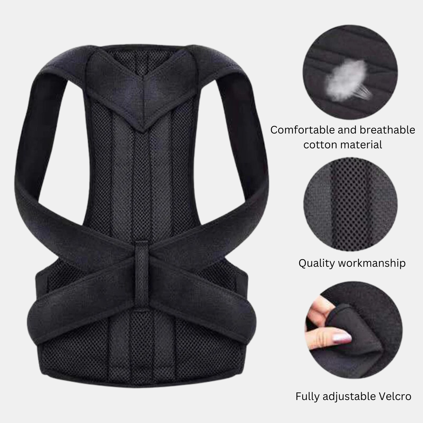 Back support posture belt