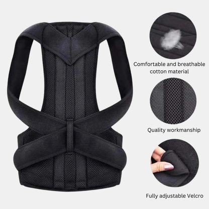 Back support posture belt