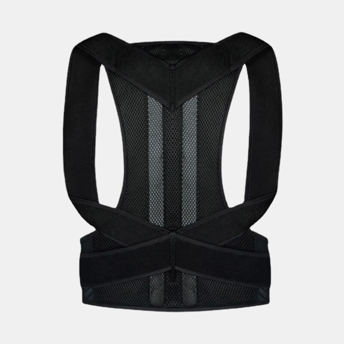 Back support posture belt