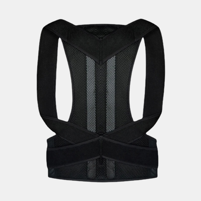 Back support posture belt