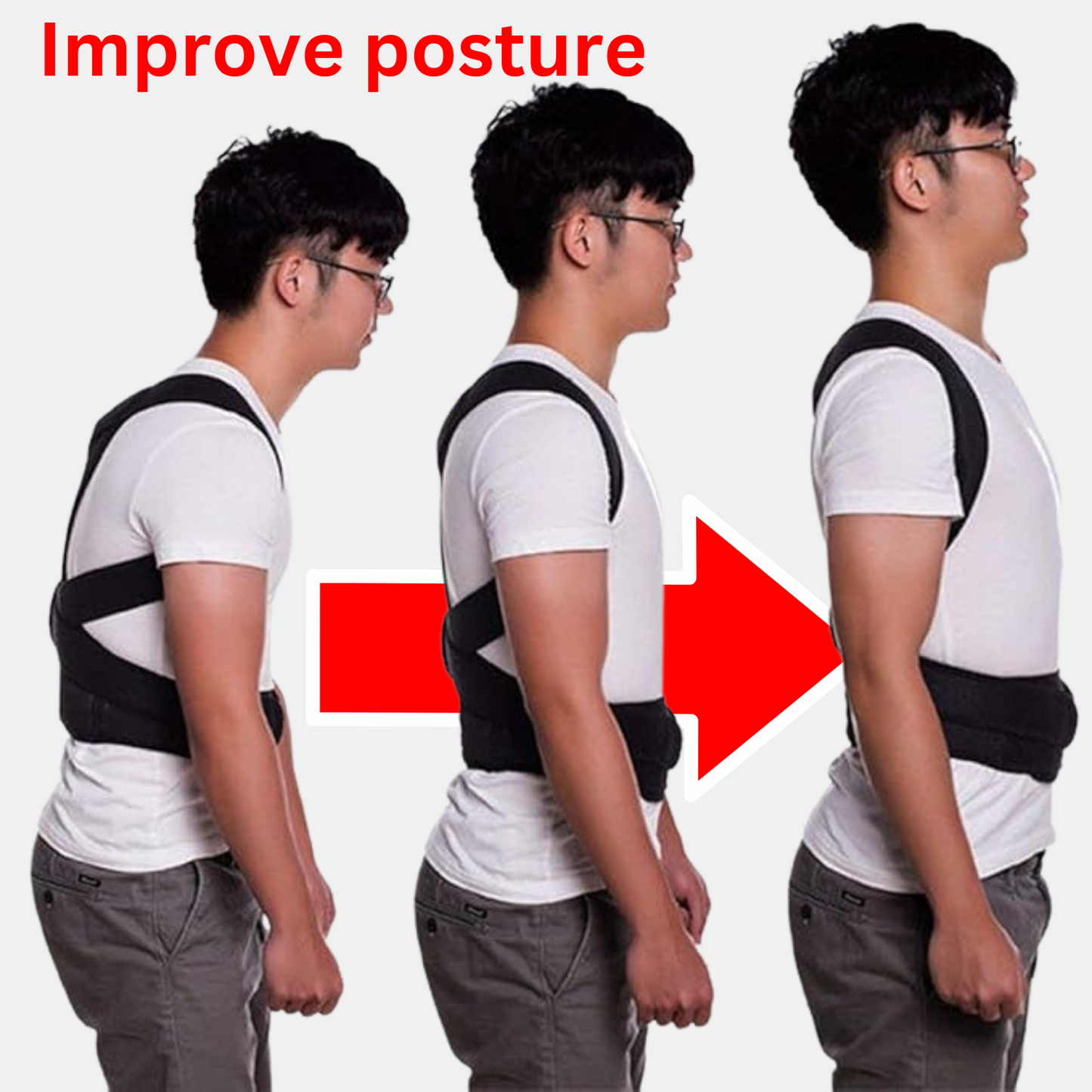 Back support posture belt