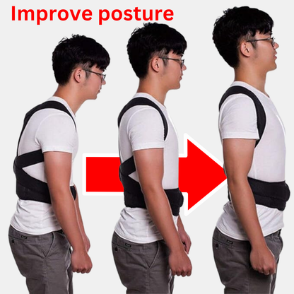 Back support posture belt