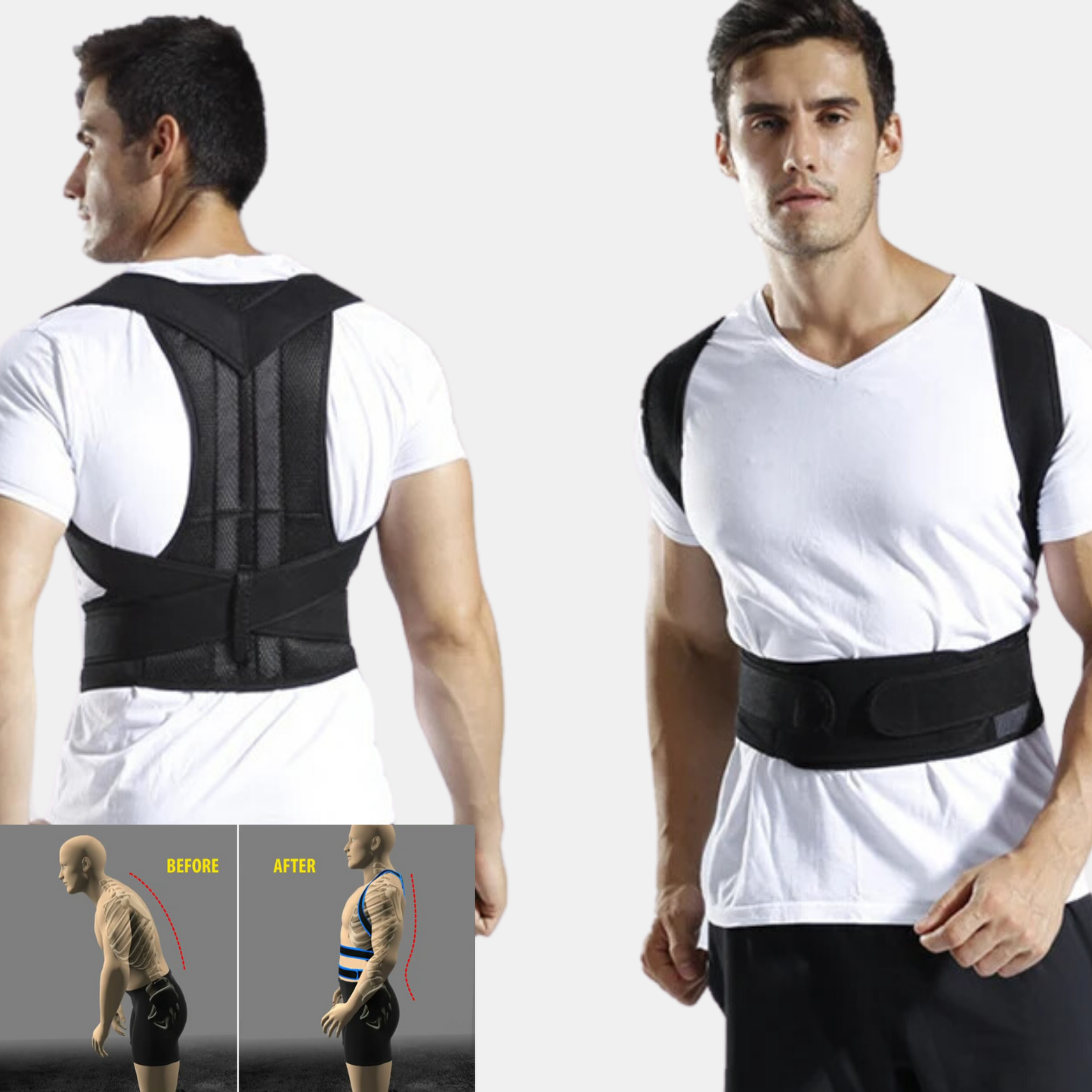 Back support posture belt