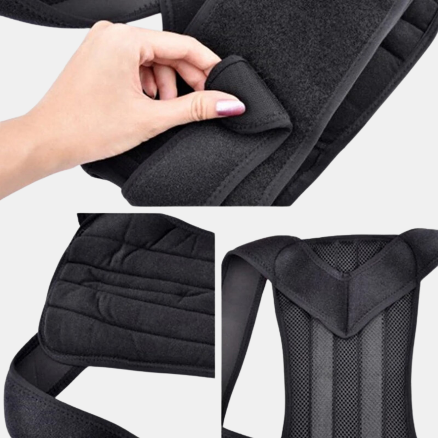 Back support posture belt