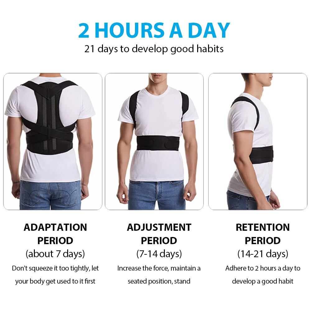 Back support posture belt