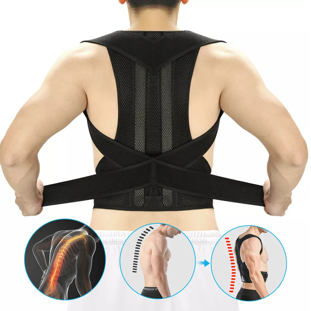 Back support posture belt