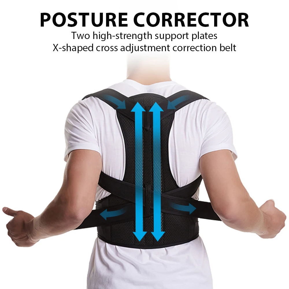 Back support posture belt